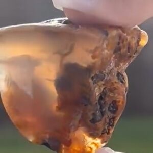 Natural Amber from Old Stock collection from Oregon